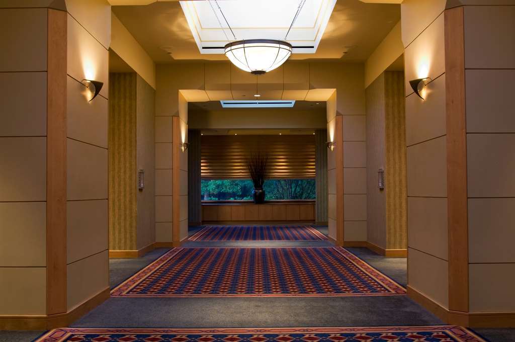 Отель Hyatt Centric Chicago Ohare Розмонт Интерьер фото